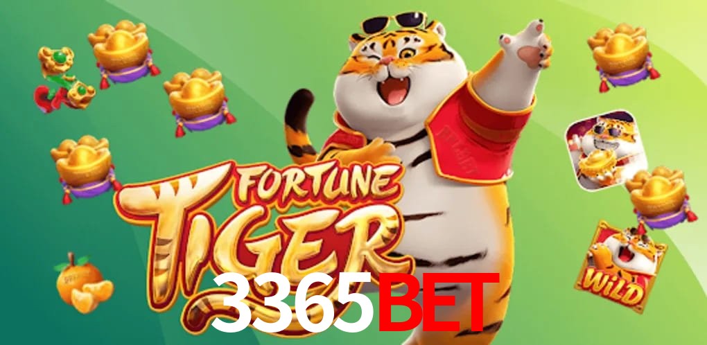 Statistics 3365bet